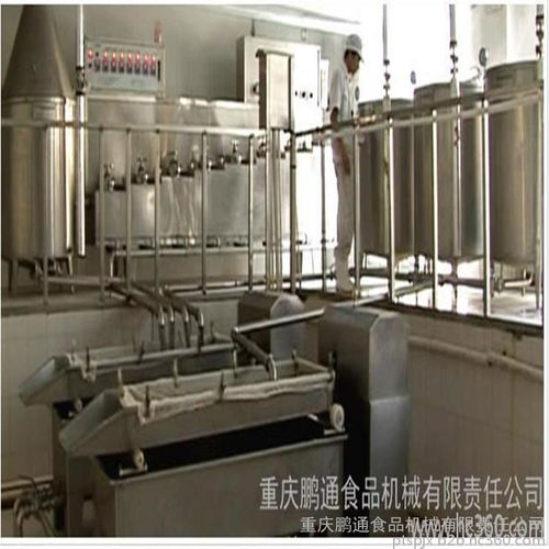 豆腐干生产线 重庆鹏通食品机械豆腐干生产线设备