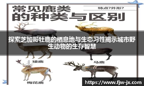 奇亿娱乐官网版
